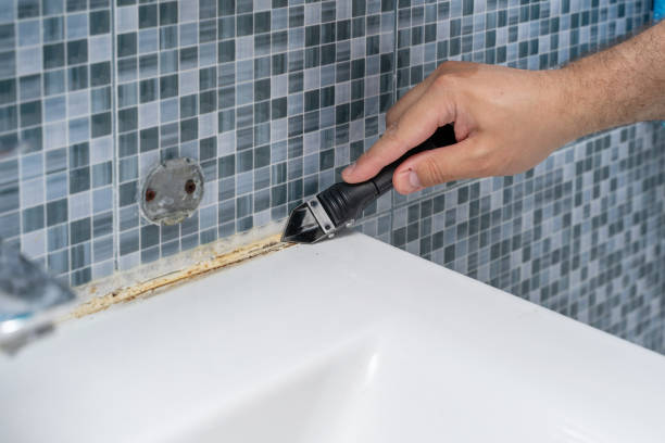 Professional Mold Removal in Cayucos, CA